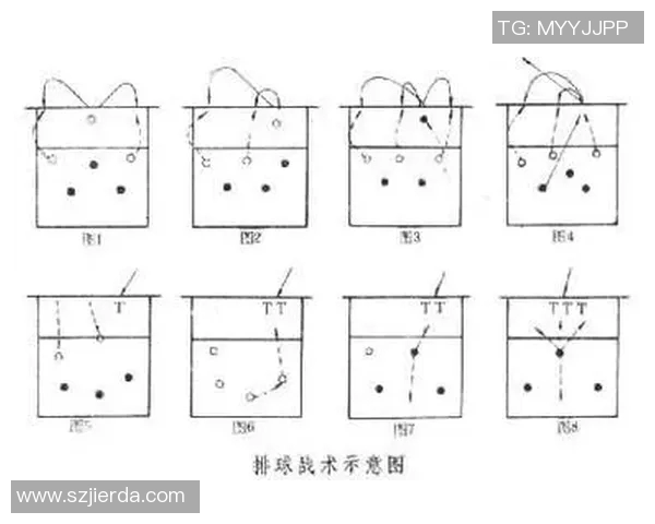 武汉排球队进攻战术解析与球队表现的深度剖析 武汉排球队进攻战术解析与球队表现的深度剖析