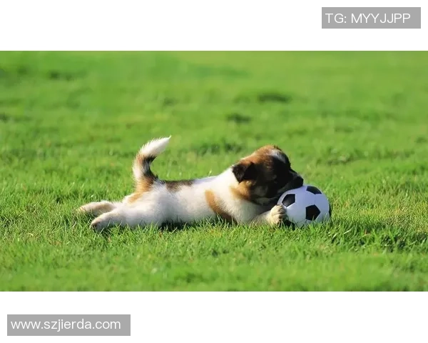 男生必备霸气足球明星壁纸展现运动激情与青春活力