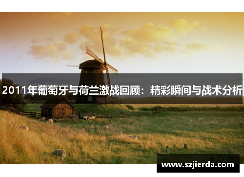 2011年葡萄牙与荷兰激战回顾：精彩瞬间与战术分析